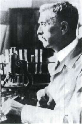 Λάξνες (Laxness), Χαλλντόρ (1902 - 1998)