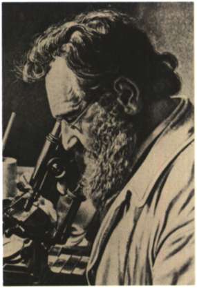 Μέτσης (Βάκουλης), Γιάννης (Πειραιάς, 1931)