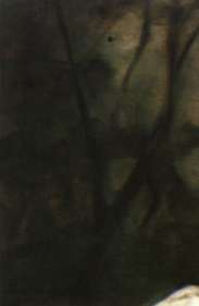 Αλιένσε (Aliense) (Μήλος, 1556 - Βενετια, 1629)